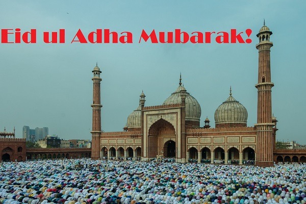 Eid ul Adha Mubarak Message