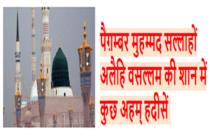 shan e nabi